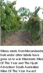 About Mocandunda Winery