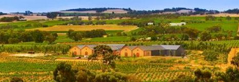 http://www.murraystreet.com.au/ - Murray Street - Top Australian & New Zealand wineries