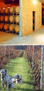 http://kreglingerwineestates.com/ - Pipers Brook Estate - Top Australian & New Zealand wineries