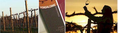 http://www.pondalowie.com.au/ - Pondalowie - Top Australian & New Zealand wineries