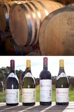 More About Sorrenberg Wines