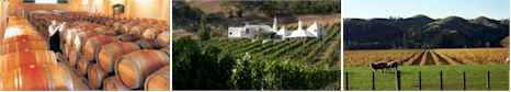 http://www.temata.co.nz/ - Te Mata - Top Australian & New Zealand wineries