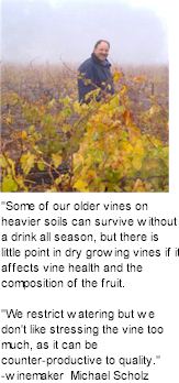 About Willows Wines