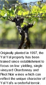 About Yal Yal Winery