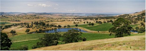 http://www.frogmorecreek.com.au/ - Frogmore Creek - Top Australian & New Zealand wineries