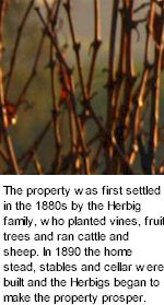 About the Glen Eldon Winery