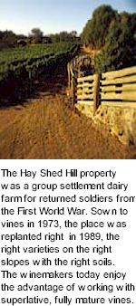 More About Hay Shed Hill Wines