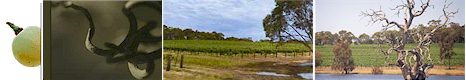 http://www.heggiesvineyard.com/ - Heggies - Top Australian & New Zealand wineries