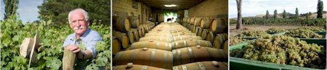 http://helmwines.com.au/ - Helm - Top Australian & New Zealand wineries