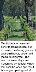 About Mount Monster Wines