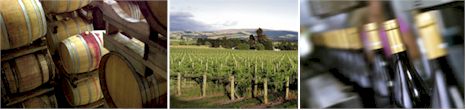 http://www.sherwood.co.nz/ - Sherwood Estate - Top Australian & New Zealand wineries
