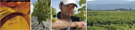 http://www.stoneleigh.co.nz/ - Stoneleigh - Top Australian & New Zealand wineries