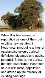 More About White Box Winery