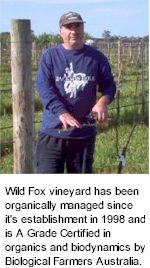 About Wild Fox Wines