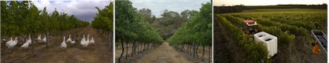 http://www.xabregas.com.au/ - Xabregas - Top Australian & New Zealand wineries